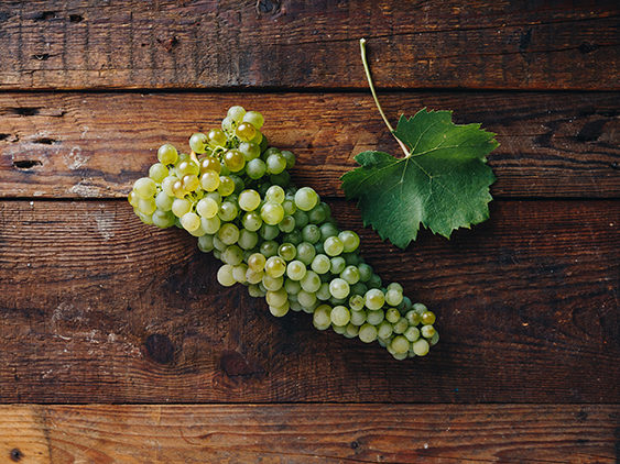 xfurmint_1_2019-1-jpgq1621445020427-pagespeed-ic_-rq754uxrhv-1-e1675945789264